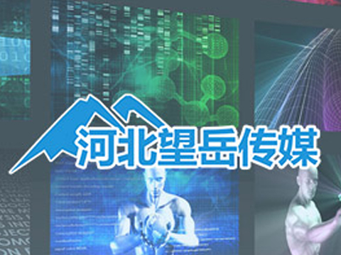 河北望岳传媒有限公司