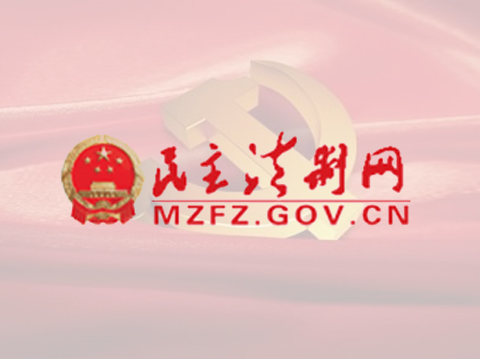 民主法制网-网站建设